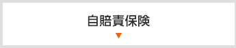 自賠責保険